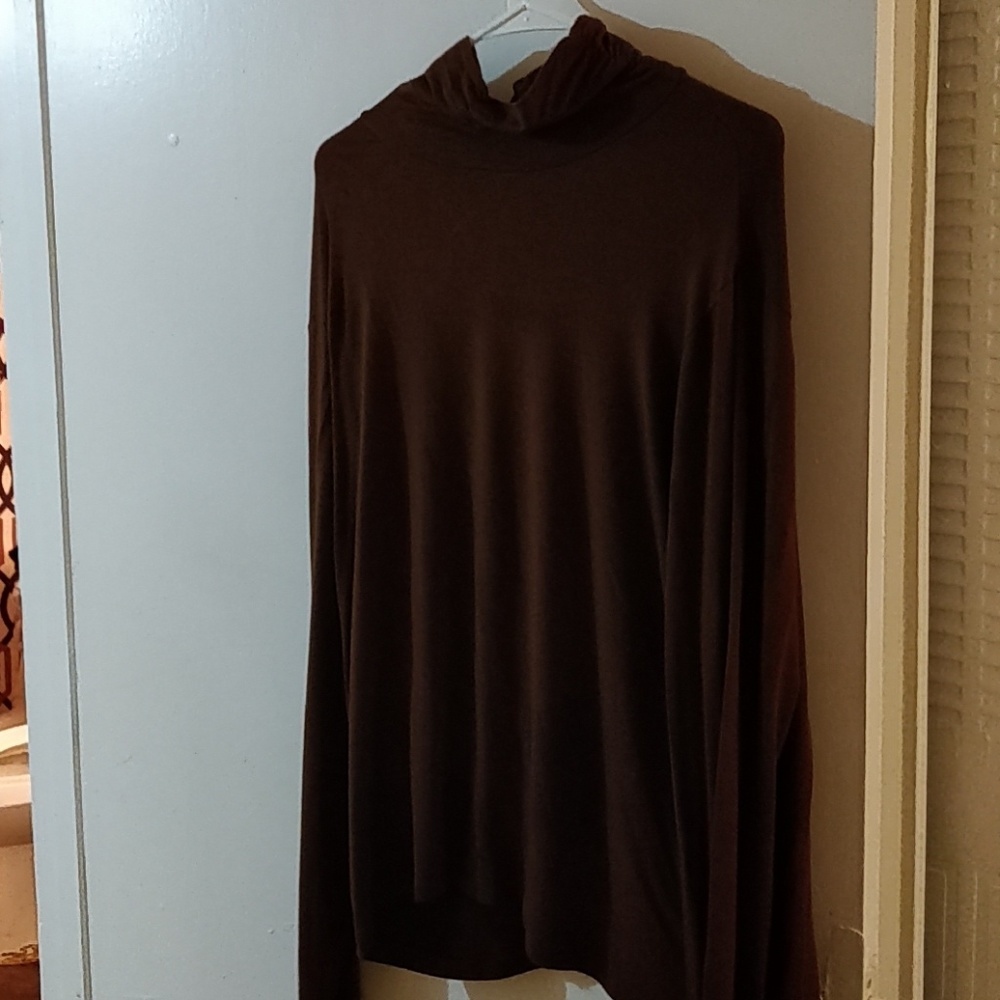 Brown turtle neck